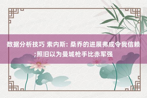 数据分析技巧 索内斯: 桑乔的进展弗成令我信赖;照旧以为曼城枪手比赤军强