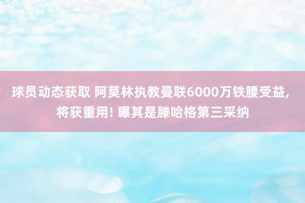 球员动态获取 阿莫林执教曼联6000万铁腰受益, 将获重用! 曝其是滕哈格第三采纳