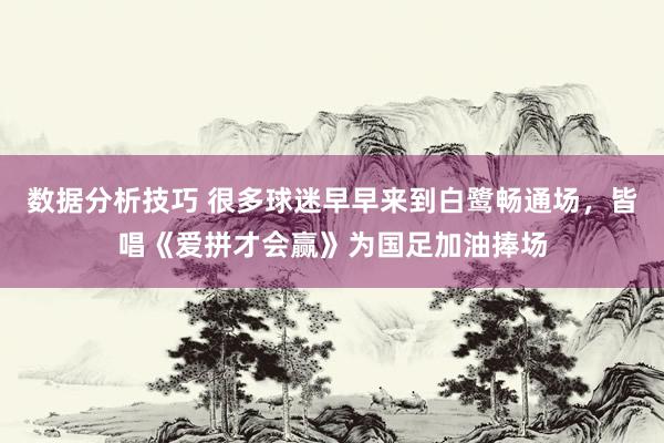 数据分析技巧 很多球迷早早来到白鹭畅通场，皆唱《爱拼才会赢》为国足加油捧场