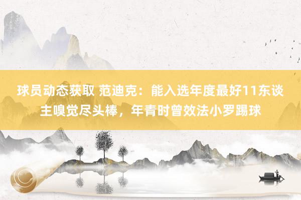 球员动态获取 范迪克：能入选年度最好11东谈主嗅觉尽头棒，年青时曾效法小罗踢球