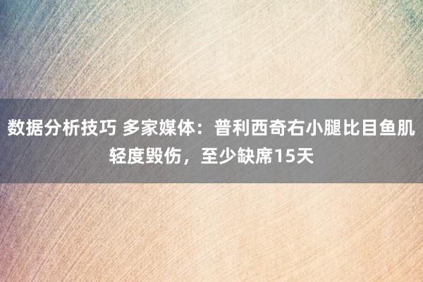 数据分析技巧 多家媒体：普利西奇右小腿比目鱼肌轻度毁伤，至少缺席15天