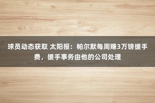 球员动态获取 太阳报：帕尔默每周赚3万镑援手费，援手事务由他的公司处理