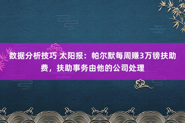 数据分析技巧 太阳报：帕尔默每周赚3万镑扶助费，扶助事务由他的公司处理