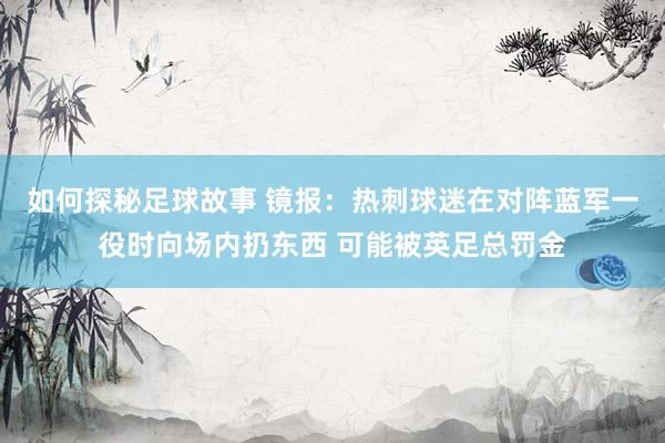 如何探秘足球故事 镜报：热刺球迷在对阵蓝军一役时向场内扔东西 可能被英足总罚金