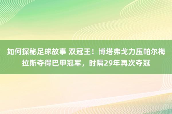 如何探秘足球故事 双冠王！博塔弗戈力压帕尔梅拉斯夺得巴甲冠军，时隔29年再次夺冠